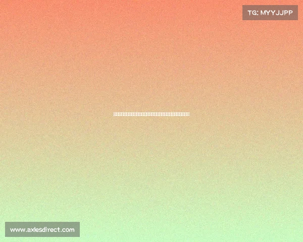 春节精彩赛事燃情开启全国各地观众热情参与共享欢乐时光共庆新春